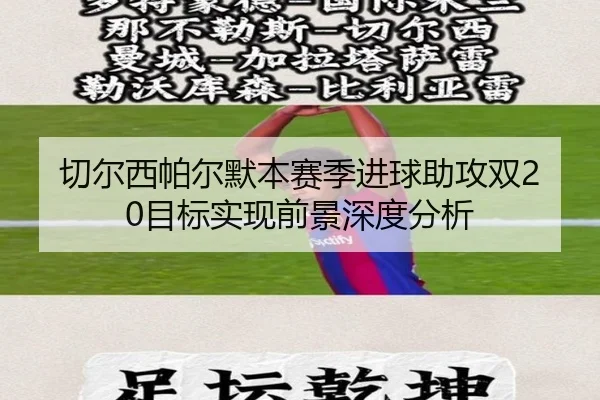 qie-er-xi-pa-er-mo-ben-sai-ji-jin-qiu-zhu-gong-shuang-mu-biao-shi-xian-qian-jing-shen-du-fen-xi-2-240.jpg